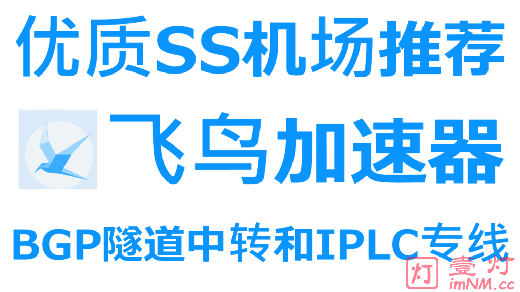 飞鸟加速器-优质SS机场推荐|国内入口BGP隧道中转和IPLC国际专线